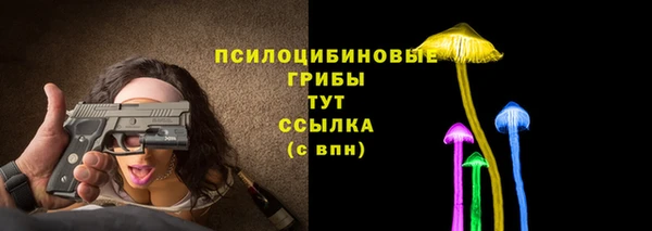 apvp Алексеевка