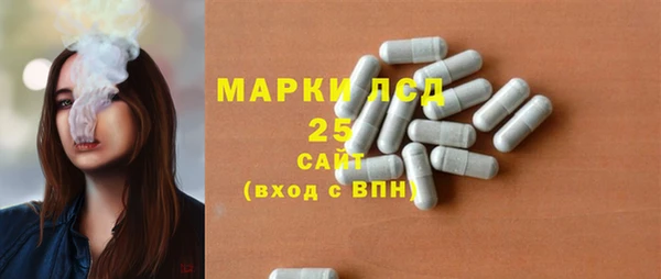 ПСИЛОЦИБИНОВЫЕ ГРИБЫ Алексин