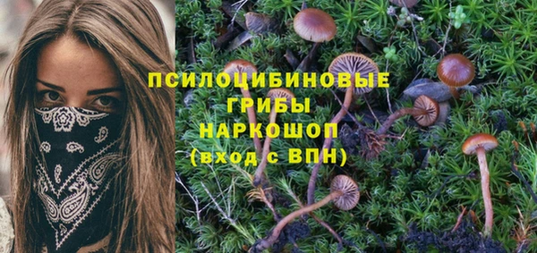 apvp Алексеевка