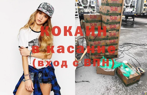 ПСИЛОЦИБИНОВЫЕ ГРИБЫ Алексин